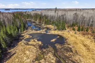 4359 Schweiger Rd, Orr, MN 55771 - Photo 90