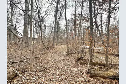 30476 Terminal Road, Pequot Lakes, MN 56472 - Photo 2