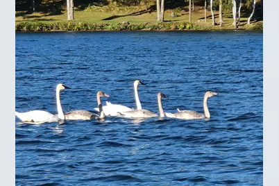 6324 Wilderness Road, Pequot Lakes, MN 56472 - Photo 64