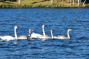 6324 Wilderness Rd, Pequot Lakes, MN 56472 - Photo 64