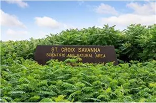 982 Inspiration Pkwy N, Bayport, MN 55003 - Photo 94