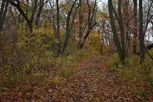 3354 Shore Wood Dr SW, Kensington, MN 56343 - Photo 24