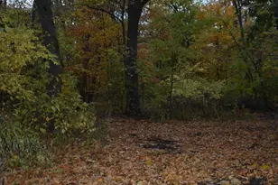 3354 Shore Wood Dr SW, Kensington, MN 56343 - Photo 28