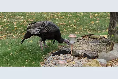 1235 N Sutton Lake Boulevard, Jordan, MN 55352 - Photo 86