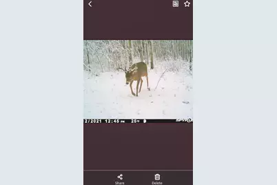 Tbd 15th Street NW, Bemidji, MN 56601 - Photo 8