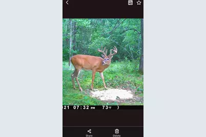 Tbd 15th Street NW, Bemidji, MN 56601 - Photo 6