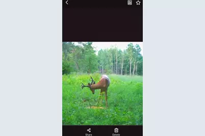 Tbd 15th Street NW, Bemidji, MN 56601 - Photo 44