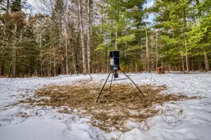 472 Main Ave E, Turtle River, MN 56601 - Photo 30