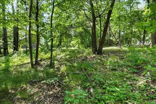 7984 Bass Lake Trail, Nisswa, MN 56468 - Photo 42