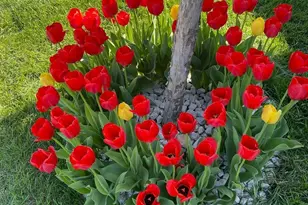 1242 Maple Ln, Carver, MN 55315 - Photo 36