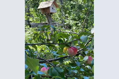 56072 350th Street, Warroad, MN 56763 - Photo 50