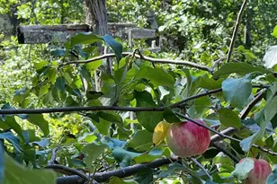 56072 350th St, Warroad, MN 56763 - Photo 50