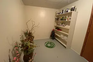 231 Park Street N, Eden Valley, MN 55329 - Photo 34