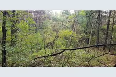 Lot 4 Paulsen Lake Lane, Osceola, WI 54020 - Photo 6