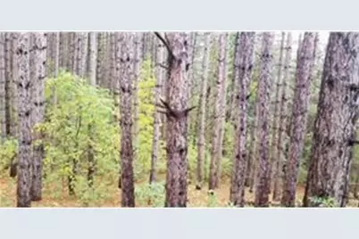 Lot 3 Paulsen Lake Lane, Osceola, WI 54020 - Photo 6