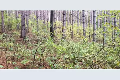 Lot 3 Paulsen Lake Lane, Osceola, WI 54020 - Photo 4