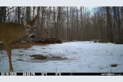 Tbd- 315th Avenue, Laporte, MN 56461 - Photo 22