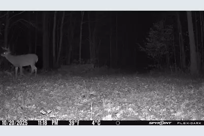 Tbd- 315th Avenue, Laporte, MN 56461 - Photo 16