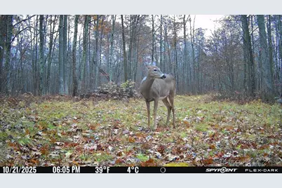 Tbd- 315th Avenue, Laporte, MN 56461 - Photo 18