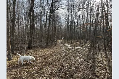 Tbd- 315th Avenue, Laporte, MN 56461 - Photo 8