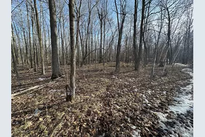Tbd- 315th Avenue, Laporte, MN 56461 - Photo 10