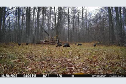 Tbd 315th Avenue, Laporte, MN 56461 - Photo 34