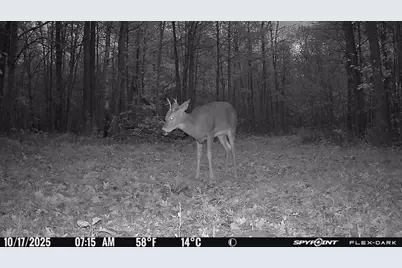 Tbd 315th Avenue, Laporte, MN 56461 - Photo 22