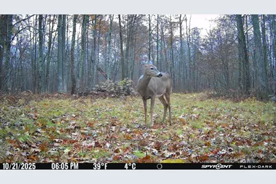 Tbd 315th Avenue, Laporte, MN 56461 - Photo 20