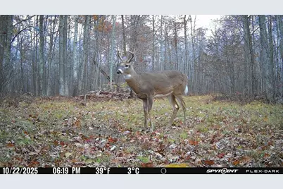 Tbd 315th Avenue, Laporte, MN 56461 - Photo 16