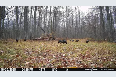 Tbd 315th Avenue, Laporte, MN 56461 - Photo 32