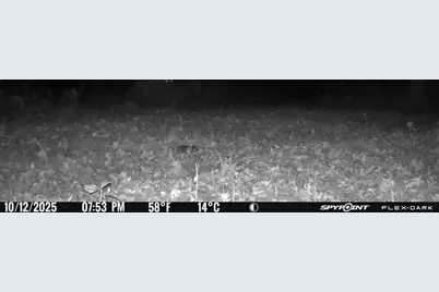 Tbd 315th Avenue, Laporte, MN 56461 - Photo 30