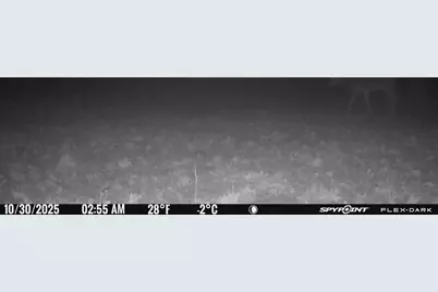 Tbd 315th Avenue, Laporte, MN 56461 - Photo 38