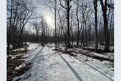 Tbd 315th Avenue, Laporte, MN 56461 - Photo 12