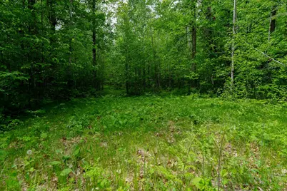 Tbd 315th Avenue, Laporte, MN 56461 - Photo 14