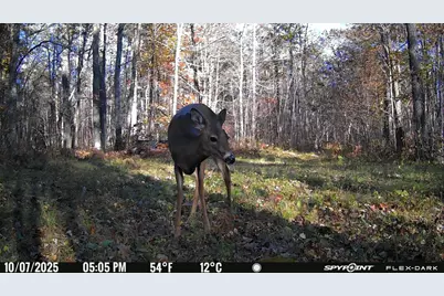 Tbd 315th Avenue, Laporte, MN 56461 - Photo 26