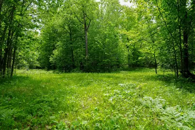 Tbd 315th Avenue, Laporte, MN 56461 - Photo 12
