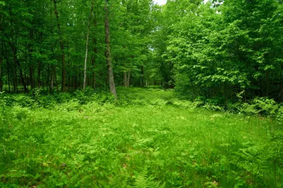 Tbd 315th Avenue, Laporte, MN 56461 - Photo 22