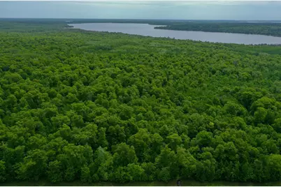 Tbd 315th Avenue, Laporte, MN 56461 - Photo 6