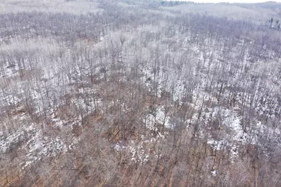 Tbd 315th Avenue, Laporte, MN 56461 - Photo 2