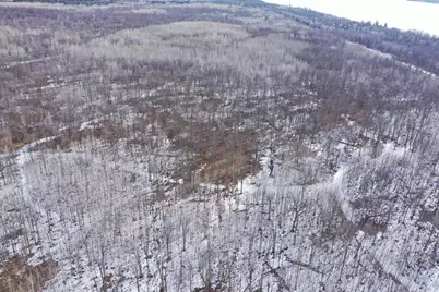 Tbd 315th Avenue, Laporte, MN 56461 - Photo 4