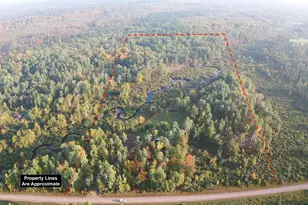 2155 E Kingsdale Rd, Danbury, WI 54830 - Photo 1