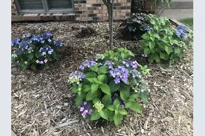 902 10th Street S, Benson, MN 56215 - Photo 26