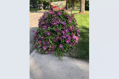 902 10th Street S, Benson, MN 56215 - Photo 32