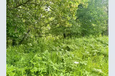 Lot 2 Blk 1 Eagle Drive NW, Walker, MN 56484 - Photo 2