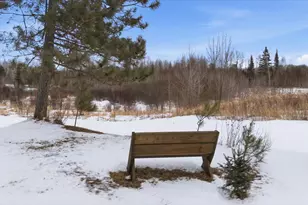 232 Scenic Estates Dr, Bigfork, MN 56628 - Photo 58