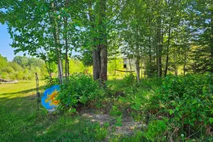 232 Scenic Estates Dr, Bigfork, MN 56628 - Photo 18