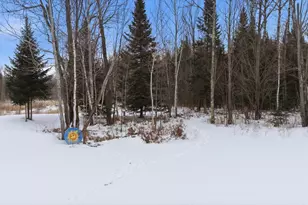 232 Scenic Estates Dr, Bigfork, MN 56628 - Photo 60