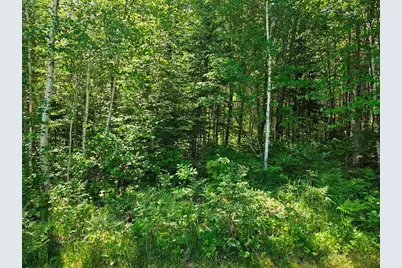 232 Scenic Estates Drive, Bigfork, MN 56628 - Photo 22