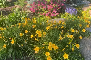 15553 Stalker Lake Rd, Dalton, MN 56324 - Photo 84