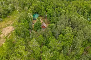 50185 219th Ave, Bemidji, MN 56601 - Photo 48